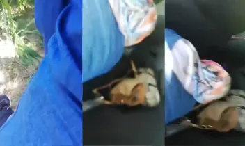Domalarak Sikilen Baş örtülü amatör katın serisi part 26 Posteri
