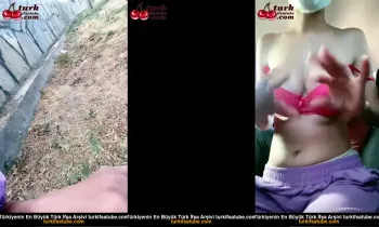 Arabayı Sevişen Türk Çift Posteri
