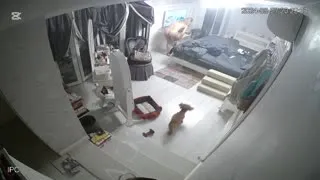 Ateşli sarışın MILF çırılçıplak Part 168  