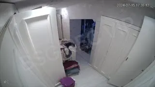 Ateşli sarışın MILF çırılçıplak Part 255  