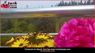 Kız kardeşin gizli ifşa videoları Posteri