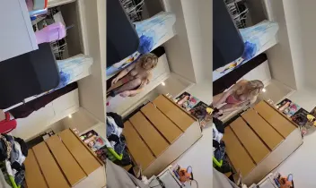 Ev içi Serisi 3 Part 30  