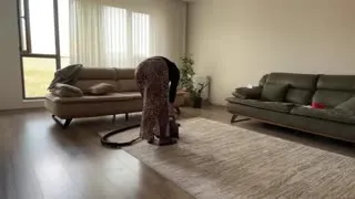 Fatma ile Her Telden @türbanlıtemizlikevhanımı Kanalı Canlı Yayın videoları Part 9 Posteri