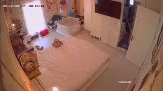 IP Cam Karışık bölüm 31 Part 13  