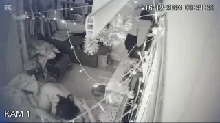 İstanbul Tarlabaşı Odada sikiş 4 Part 1  