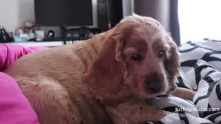 Ecem Kemer Youtube Katıl ifşa - Mini ev vlog | bir günde neler yiyorum ????günlük ev işleri???? antep fıstıklı latte ☕️  