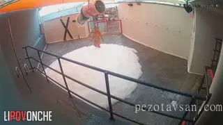 Swinger - Grup Partisi  1  