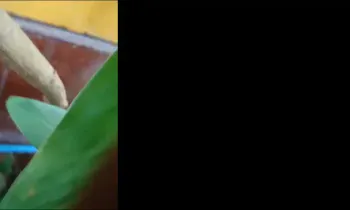 Public Gizli Çekim Part 45  