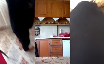 Public Gizli Çekim Part 81  