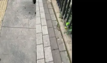 Public Gizli Çekim Seri 14 Part 37  