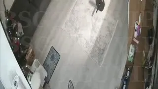 Salonda sikişenler Part 3  