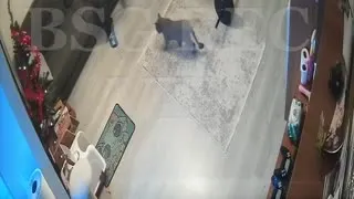 Salonda sikişenler Part 4  