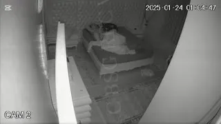 Türbanlı Sarışın MILF Part 6  