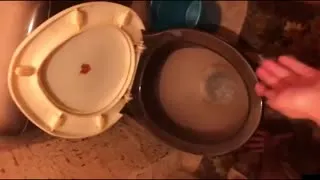 özenle arşivledim ???? amatör köle'lerdi bunlar. siyahlıyı bir köpek kulübesinde beslemek isterdim açıkçası çok tatlı ???? Part 6  