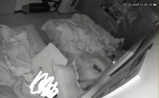 Yabancı IP Cam 1 Part 53  