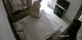 Yabancı IP Cam 4 Part 18  