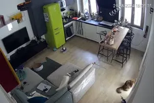 Yabancı IP Cam 5 Part 28  