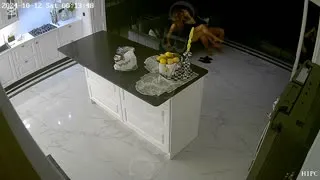 Zengin Çift ama Fakir Enerjisi Part 71  