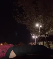Aleni kategori görseli