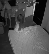 Gizli Kamera Sex kategori görseli