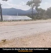 Pornhub kategori görseli