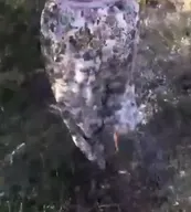 Türbanlı kategori görseli