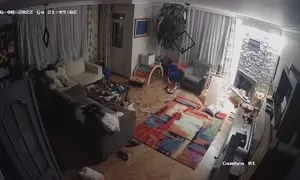 iptv porno kategorisi