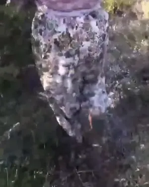 Türbanlı kategorisi