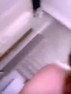 Tango Pandora