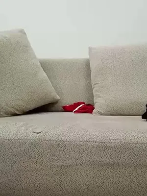 Tango Nina