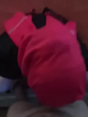 Alfa Erkek