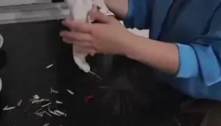Amatör türk ifşa videoları serisi grup sex, sakso part  1 Ön İzleme