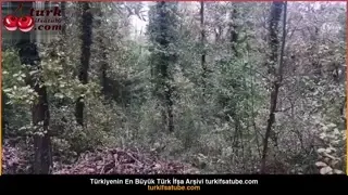 Kız kardeşi ormana çekilmiş araba. Ön İzleme