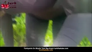 Ormanda Seks Gaddar Yürüyüşe Çıkarak Hatunu Sikiyor Ön İzleme