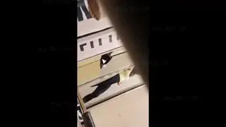 Public Gizli Çekim Part 35 Ön İzleme
