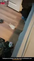 Koca, karısı gibi seksi bir kadınla seks yapıyor Ön İzleme