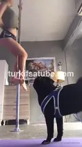 suynesli (summmn) Onlyfans ifşa videoları part 44 Ön İzleme