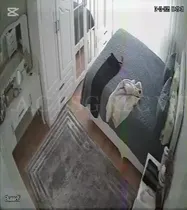 Tr Cam 105 Numaralı Çiftimizin Yatak Odası İpcam Görüntüleri Part 35 Ön İzleme