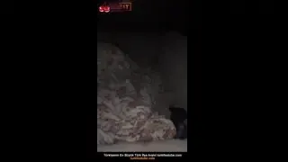 Türkçe uzun pornografik film Ön İzleme