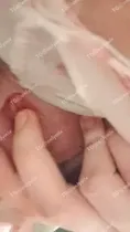 Tango lina ifşa videoları part 4 Ön İzleme