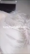 Elanur Ayakn Harika Sakso ve Seksi Videosu 2 Ön İzleme Elanur Ayakn Harika Sakso ve Seksi Videosu 2 Ön İzleme