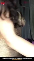 Erkek Yarrak Cazibe Abla Anal Nude Ön İzleme