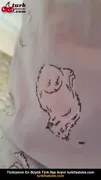 Duygu Açığa Çıkaran Memleri Sığdıracak Bir Sutyen Yok