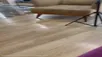 Elci gel el feticisi köpeğim var
