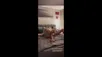 NightMeal Onlyfans İfşa Videoları Kaçırmayın Full İçerikler Vol 26