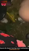 Kız kardeşini ormanda kandırıp çıplak halde sikiyorlar